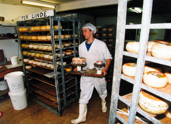 Bestand:Ter Linde2.jpg