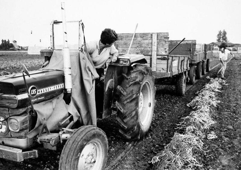 Bestand:Vrouwenemancipatie 90817.jpg