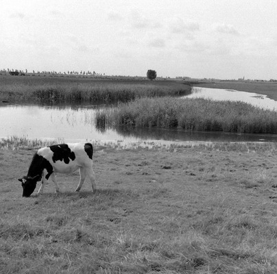 Bestand:Groote Gat1.jpg