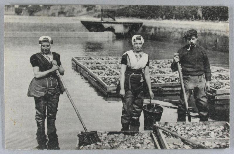 Bestand:Vrouwenemancipatie 28011.jpg