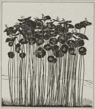 Bestand:Huser postelein.jpg