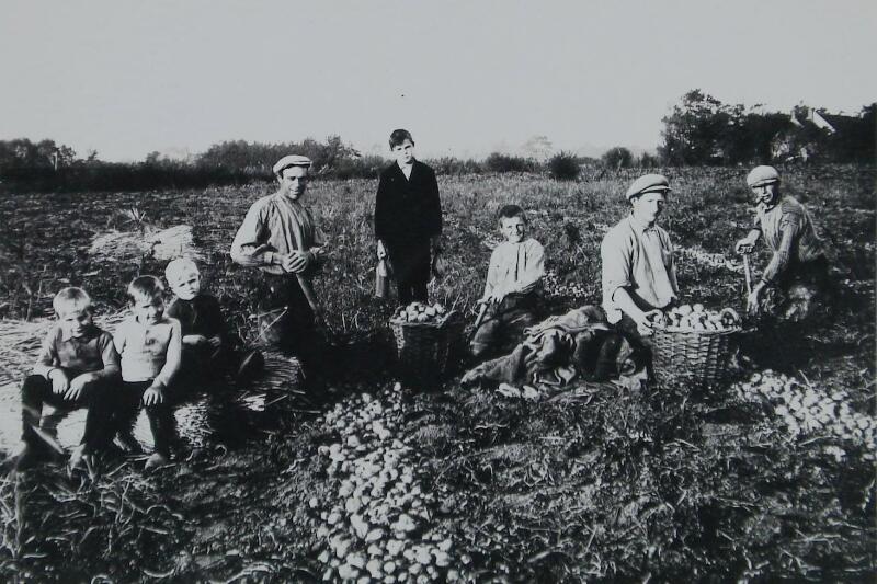 Bestand:Emigratie 12978.jpg