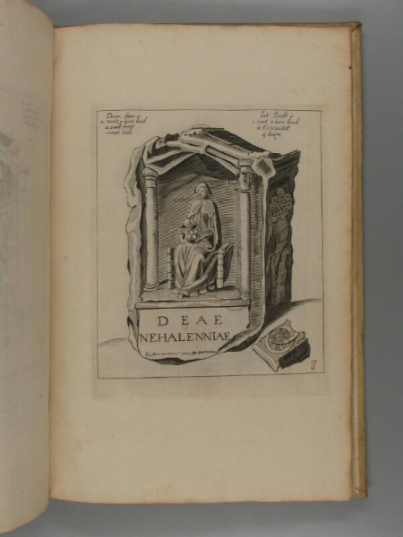 Bestand:Nehalennia 1509.jpg