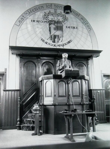 Bestand:Budding 16833.jpg