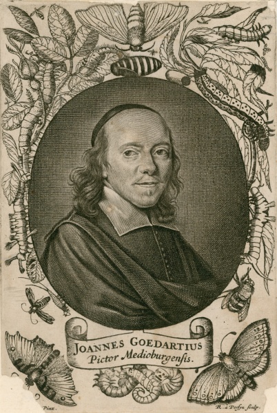 Bestand:Goedaert 396.jpg