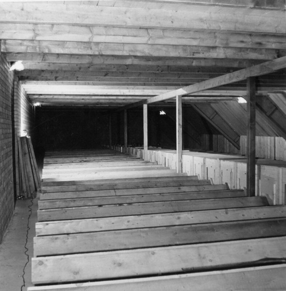 Bestand:Piezel 60053.jpg