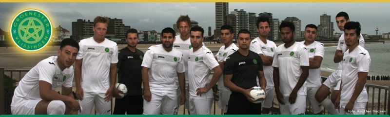 Bestand:Groene Ster1.jpg