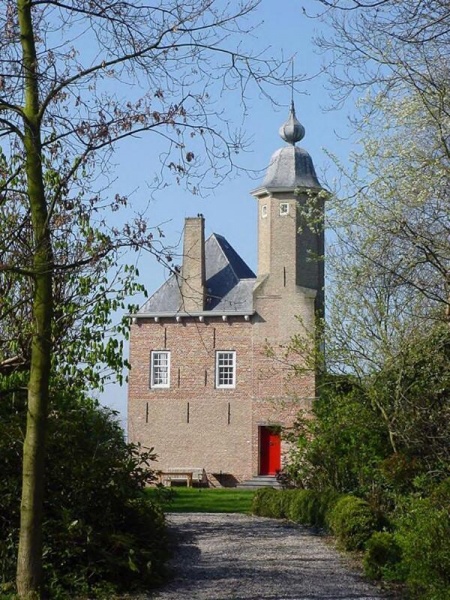 Bestand:Cats 114823.jpg