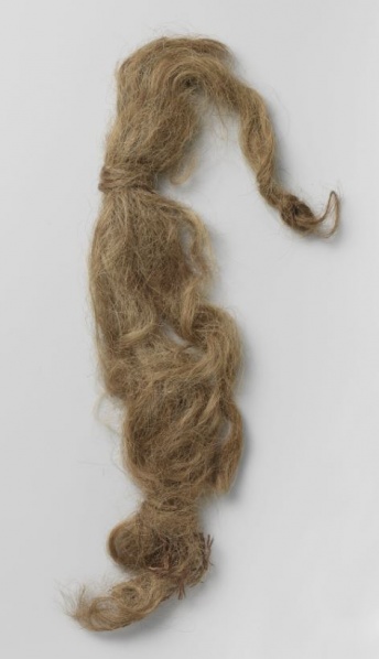 Bestand:Beieren vlecht.jpg