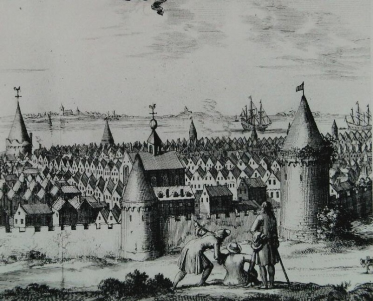 Bestand:Reimerswaal 6543.jpg