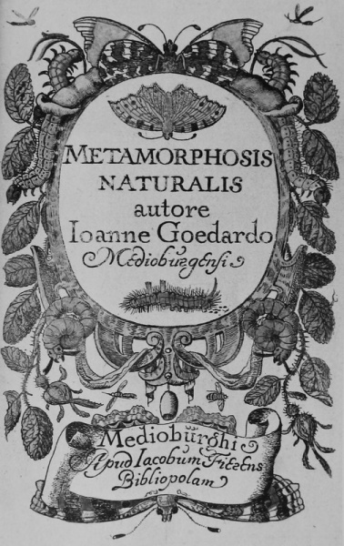 Bestand:Goedaert 49765.jpg