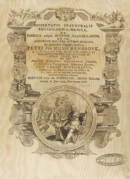 Bestand:Coppello 153137.jpg