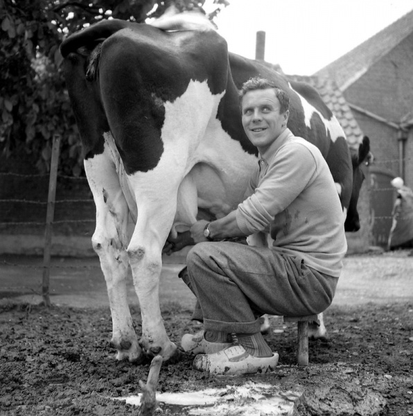 Bestand:Piet Rentmeester4.jpg